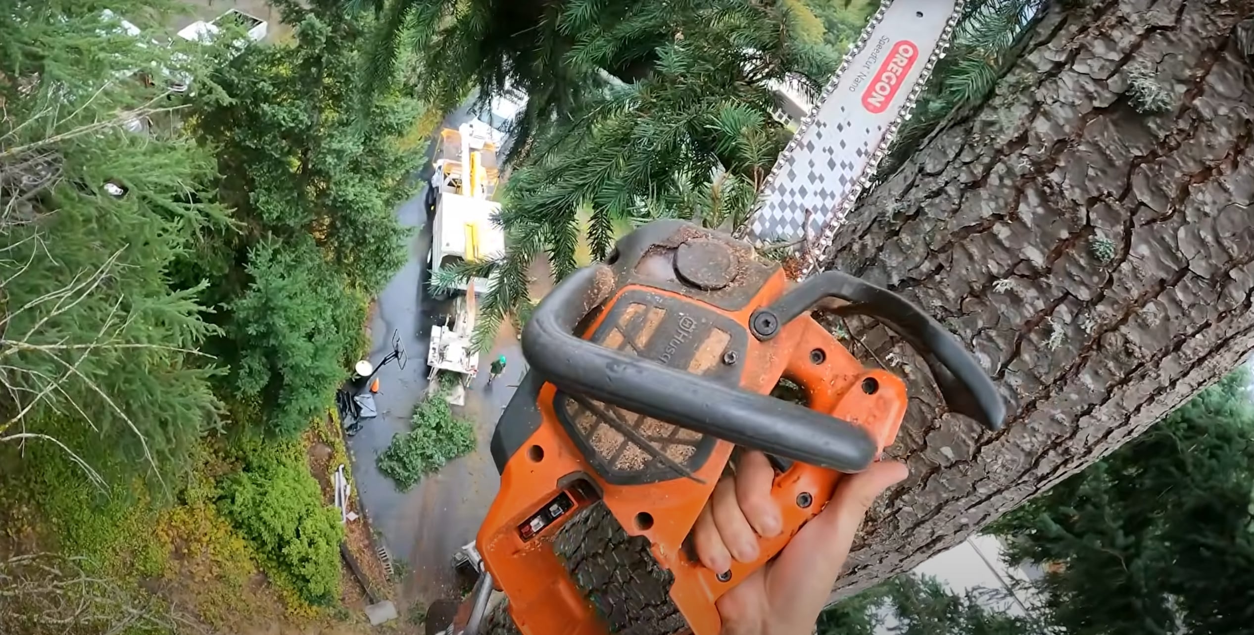 Tree Trimming & Pruning services in The Villages, Florida