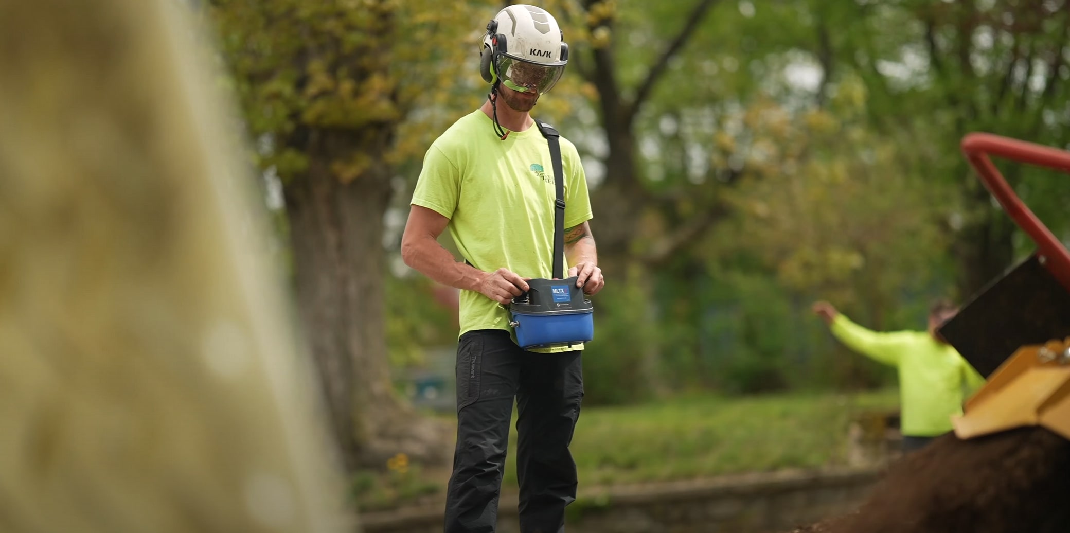 Tree Health & Maintenance services in The Villages, Florida