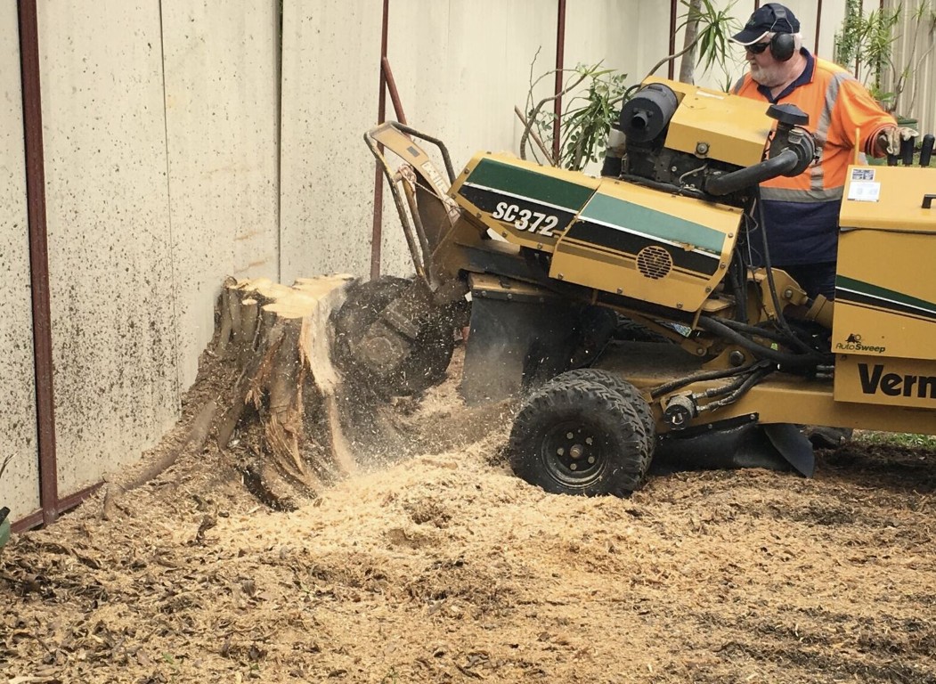 Stump Grinding & Removal services in The Villages, Florida