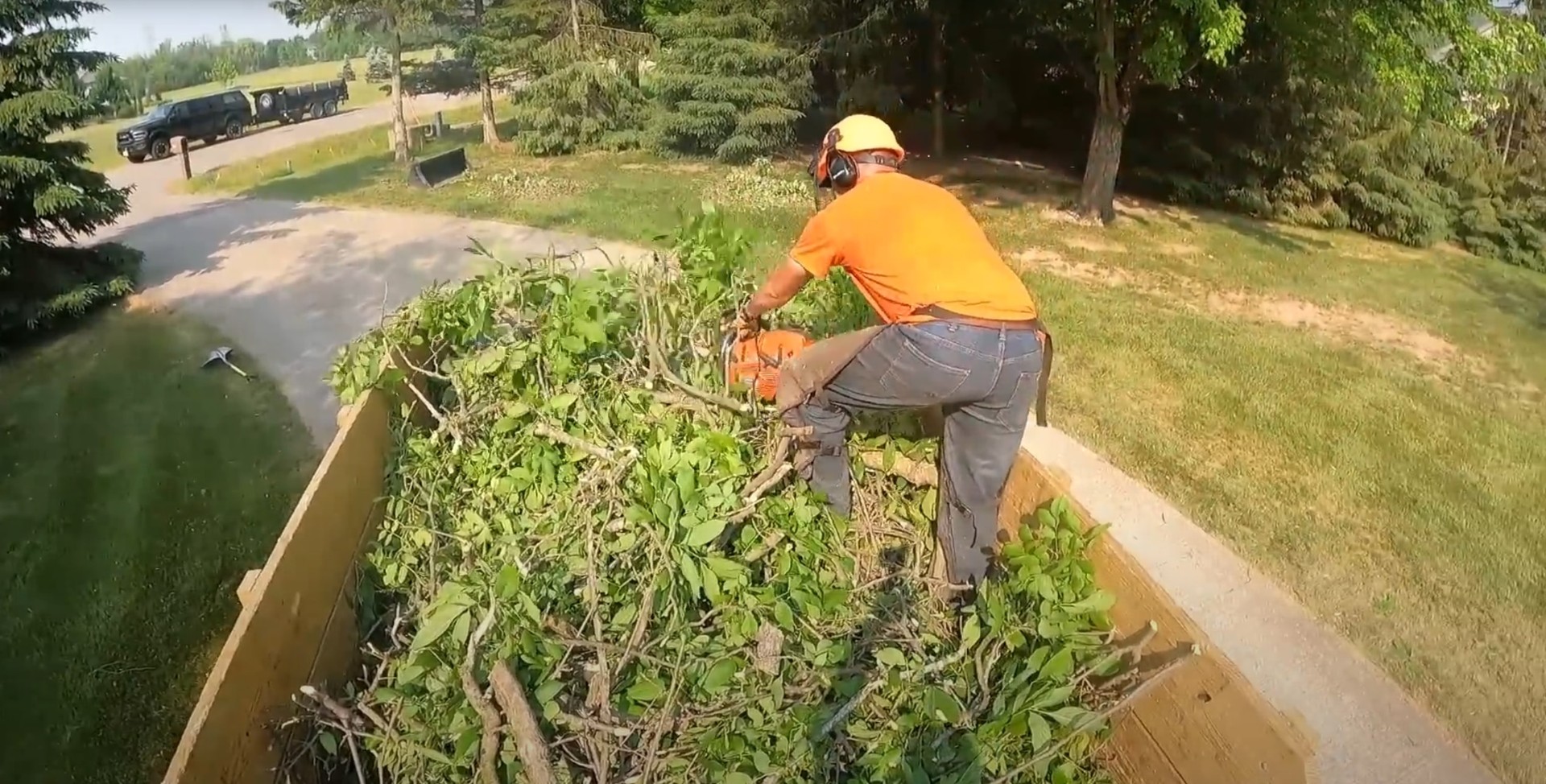 Professional tree trimming and brush removal services in residential yard Professional tree trimming and brush removal services in residential yard